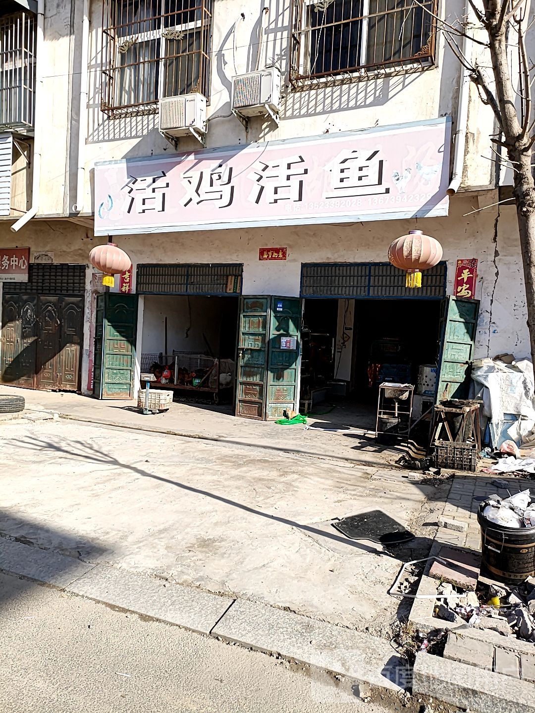 西华县活鸡活鱼(光明路店)