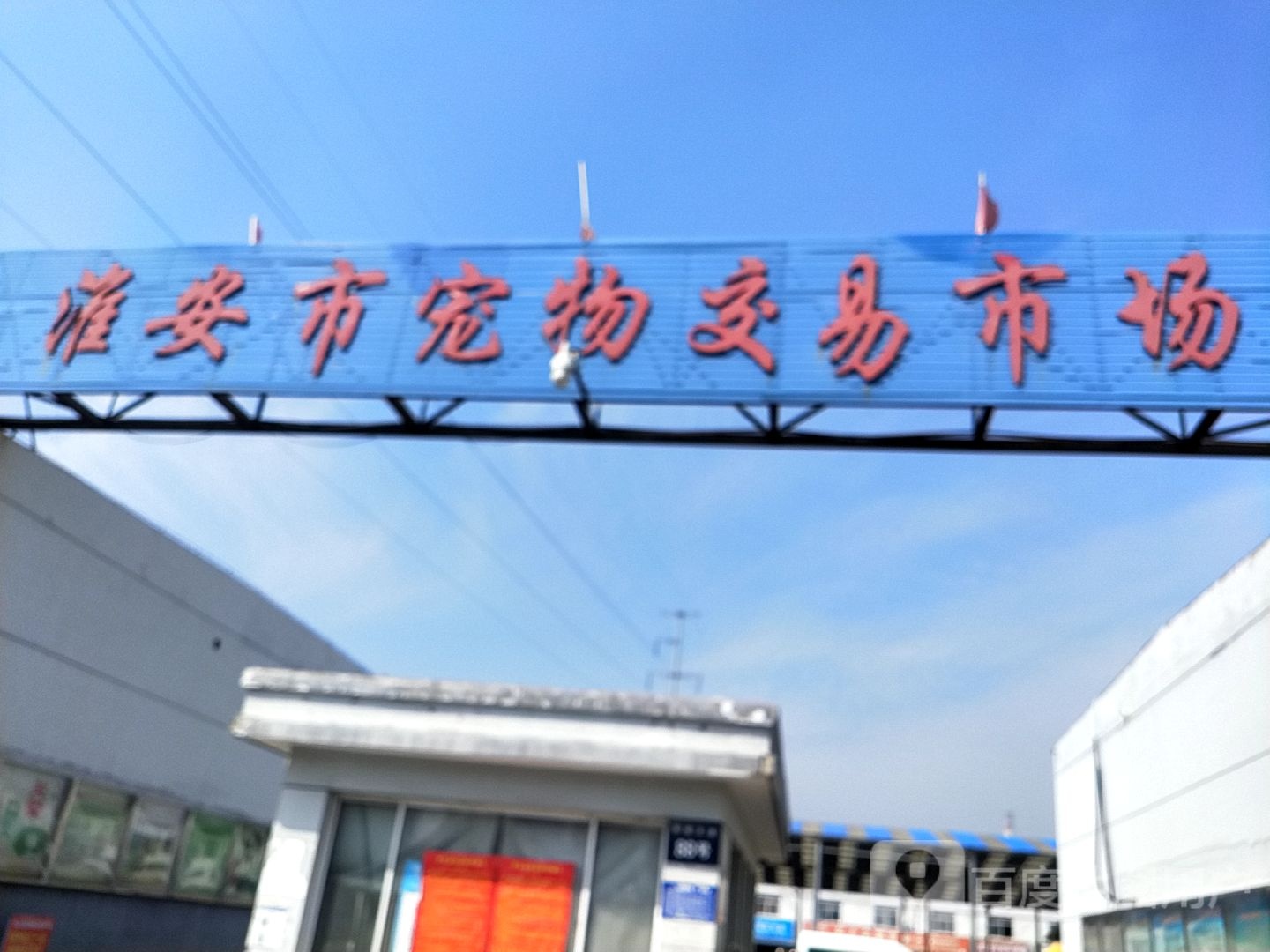 淮西安宠物交易市场(宠物交易市场韩侯大道店)