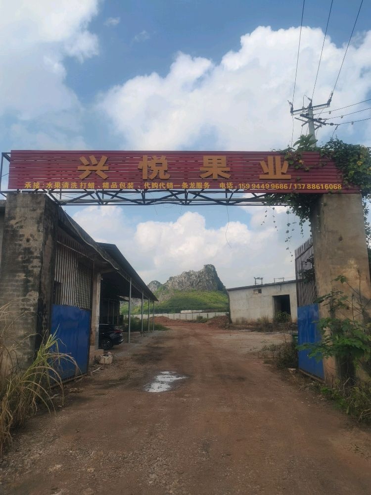 兴悦果业