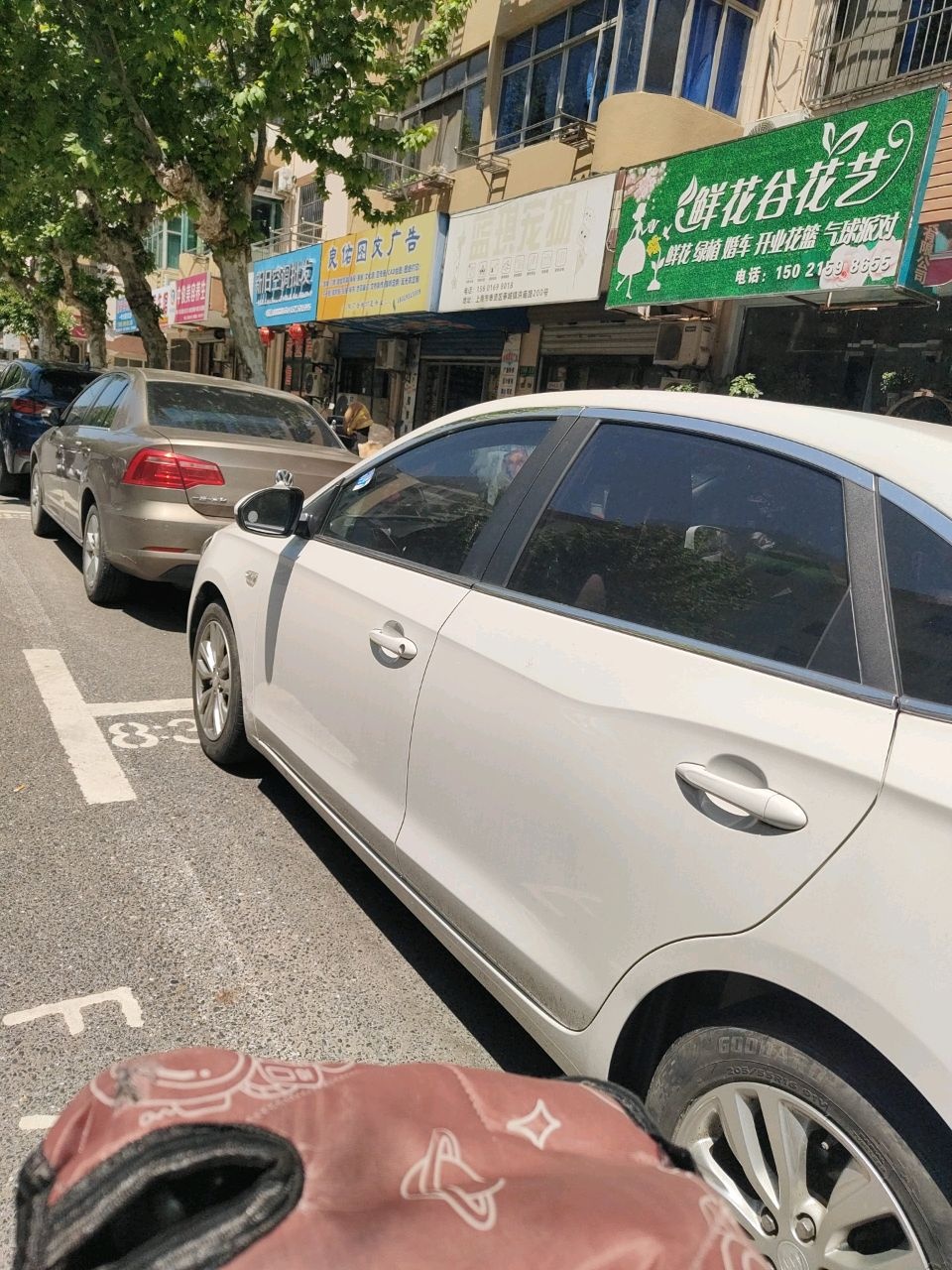 蓝琪宠物店