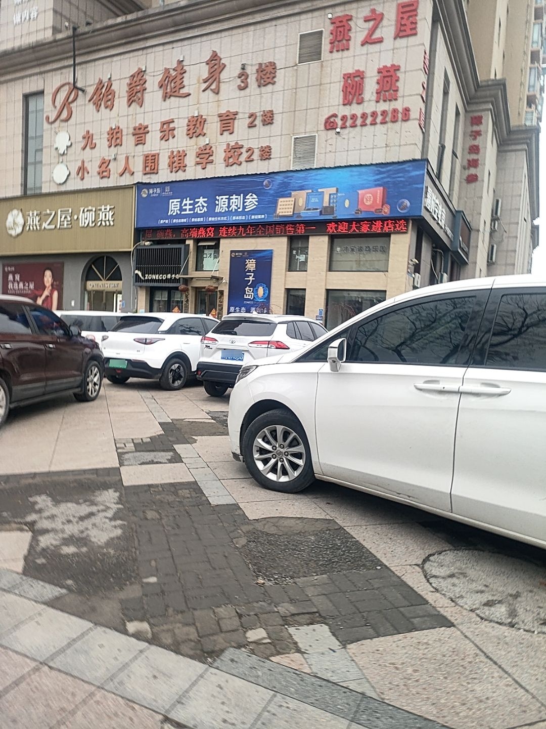 铂爵游泳健身(锦江店)
