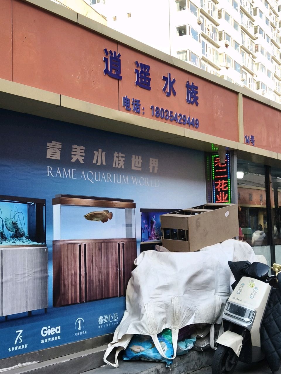 逍遥水族(亲贤花鸟鱼虫市场店)
