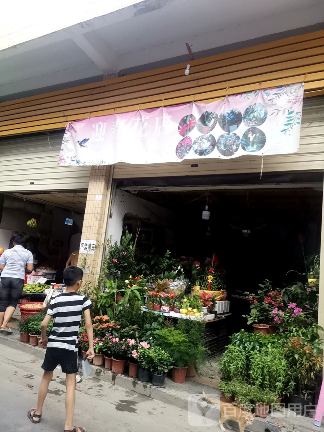 迎春花店