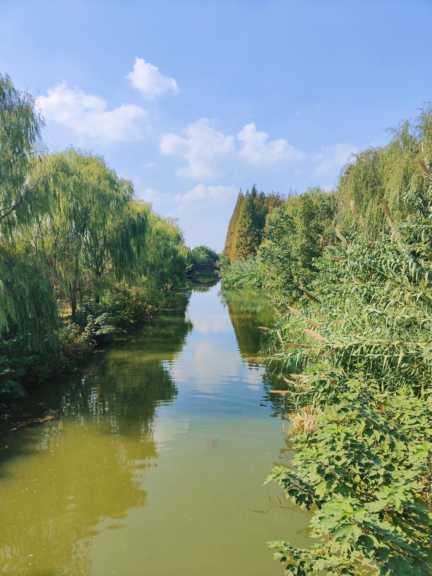 南湖湿地公园