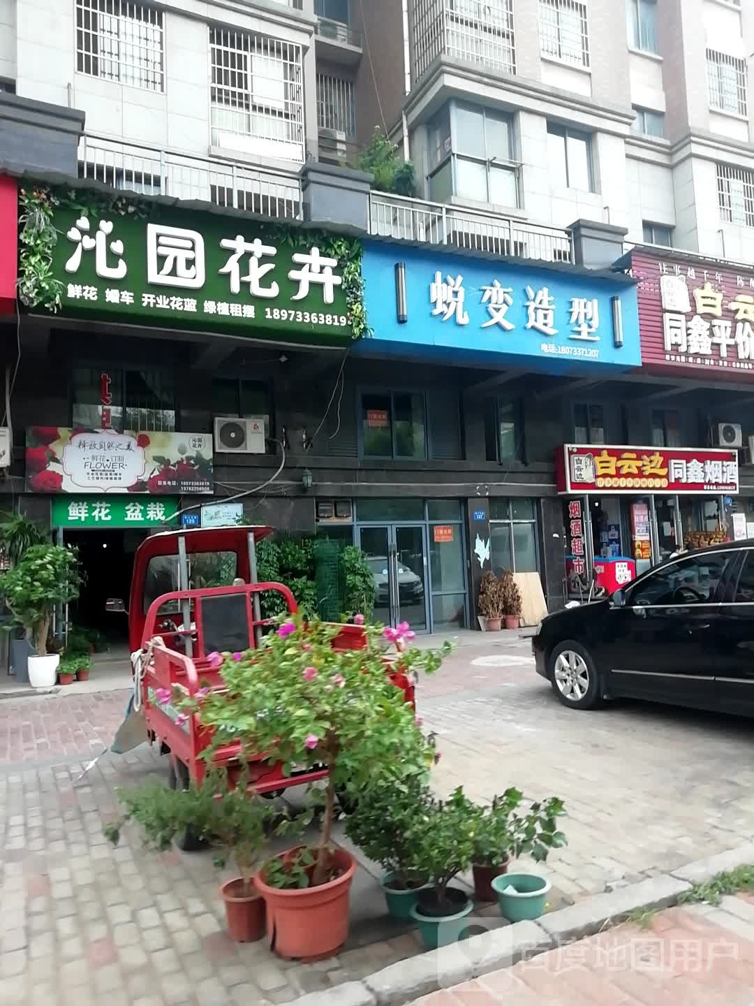 沁园花卉(天泉一品店)