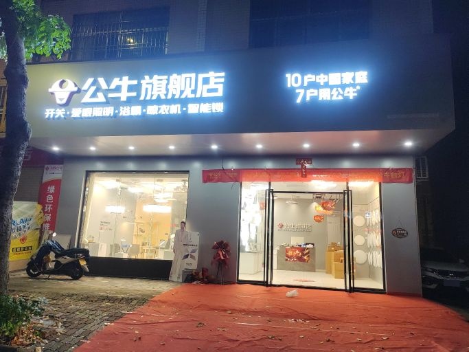 夜明珠灯饰店(公牛旗舰店)