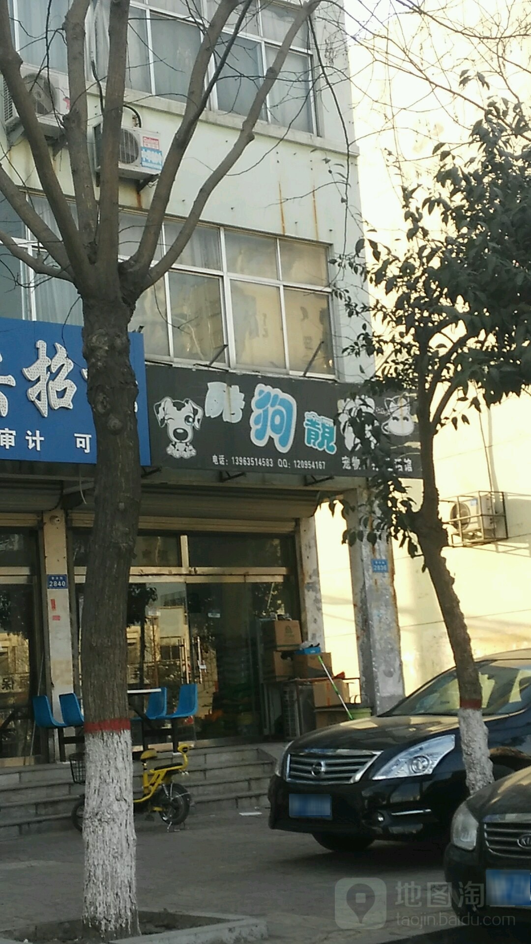 酷狗靓猫(枣乡街店)