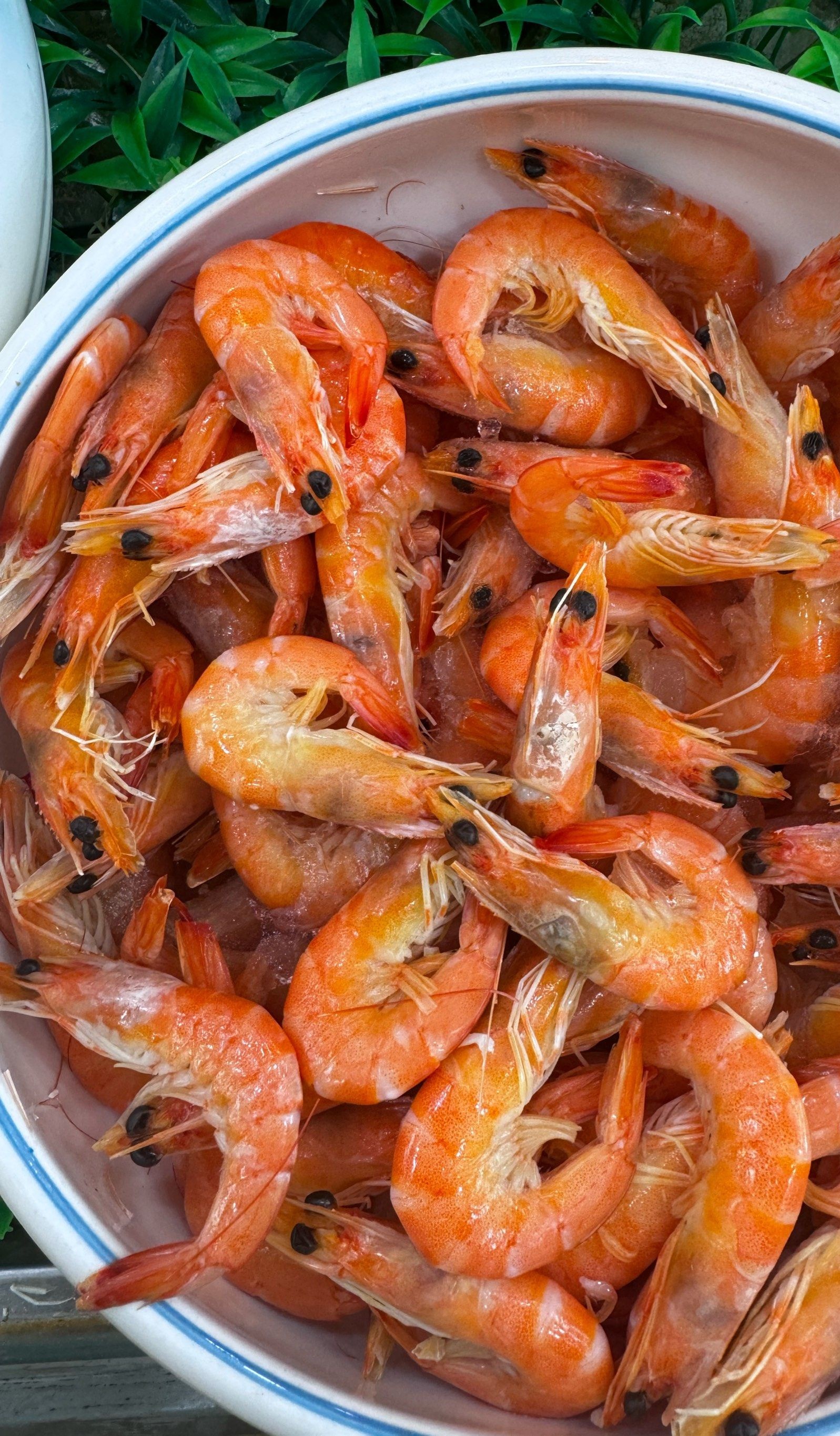 客传客蒸汽海鲜自助(刘庄店)