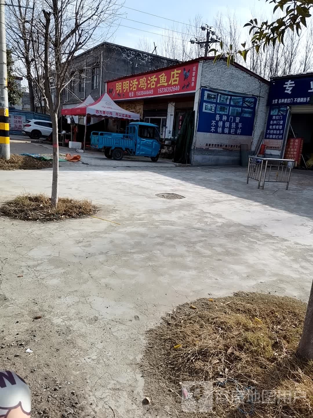 西平县明明活鸡活鱼店