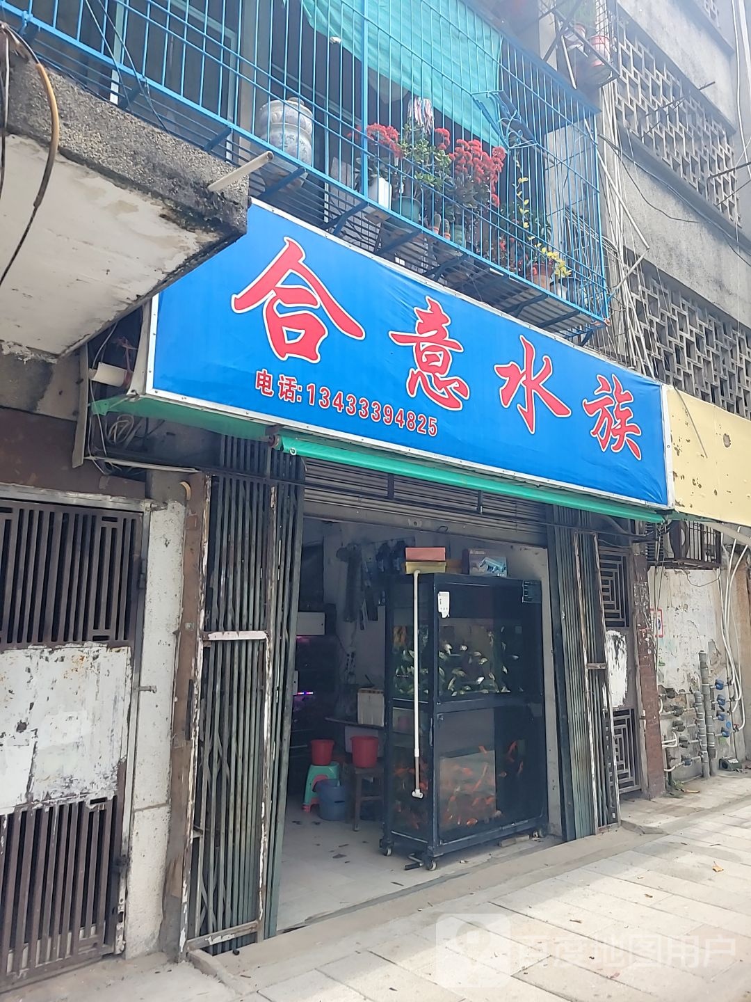 合意水族