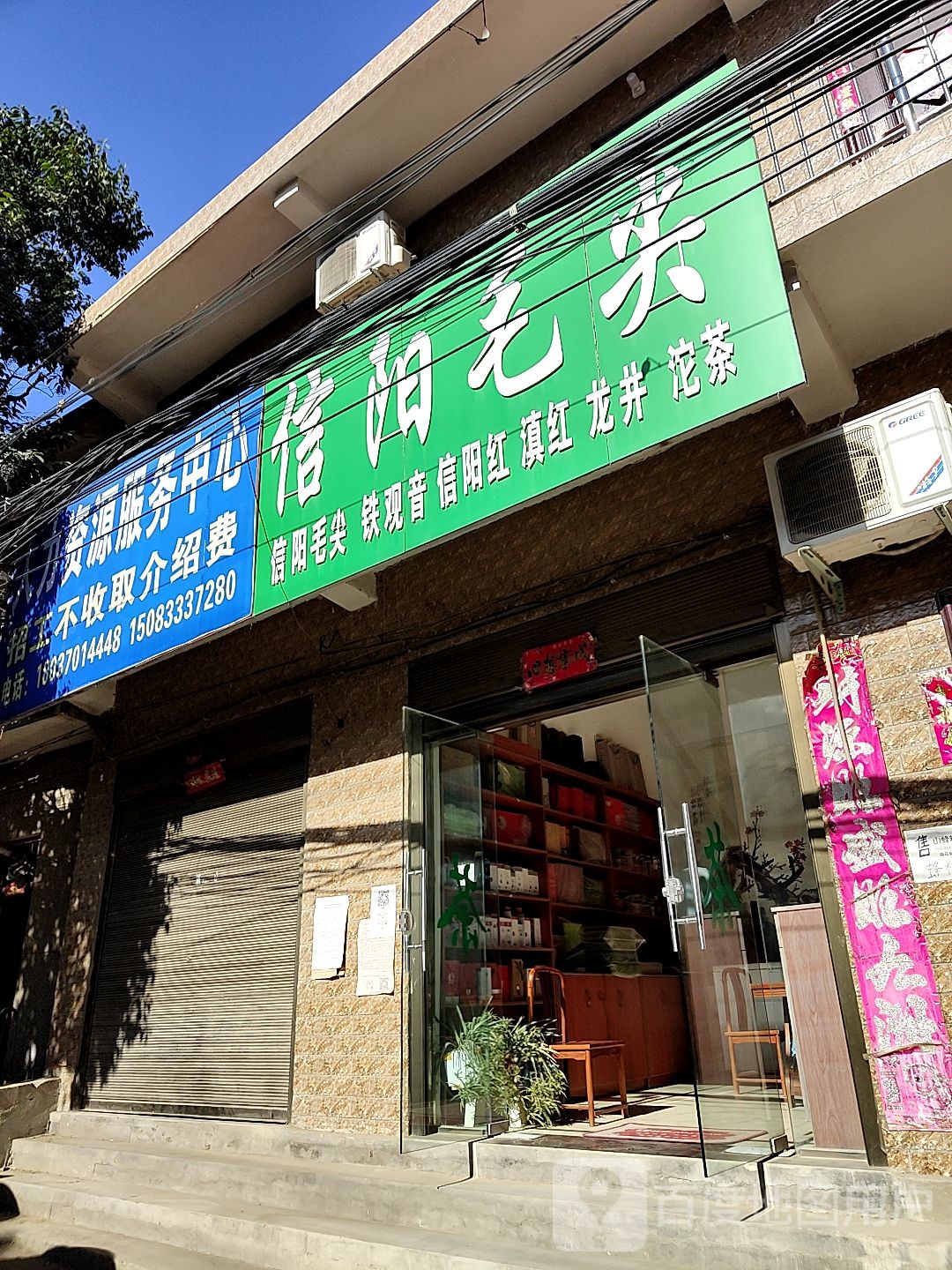 信阳毛尖(古城路店)