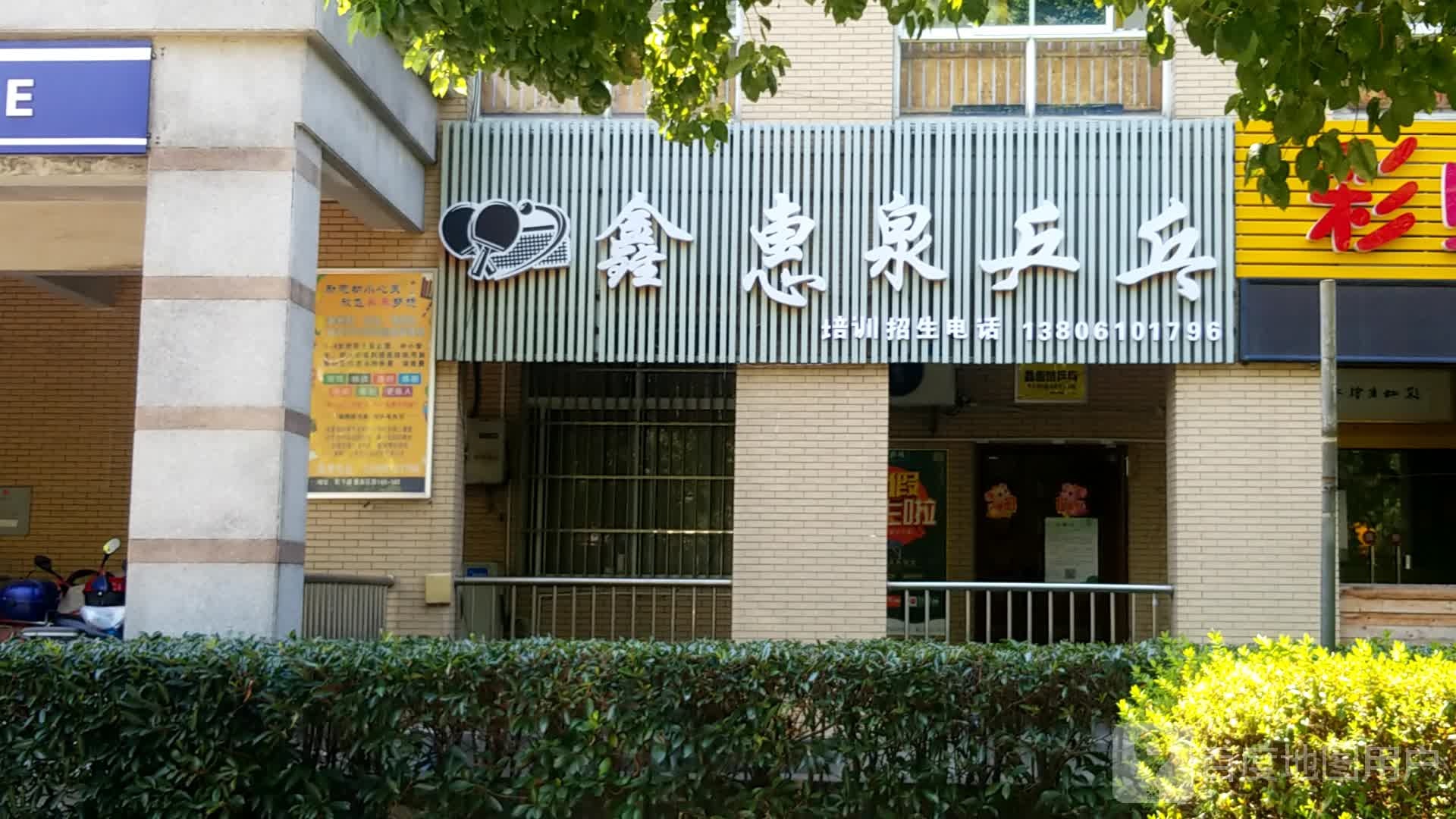 鑫汇泉乒乓