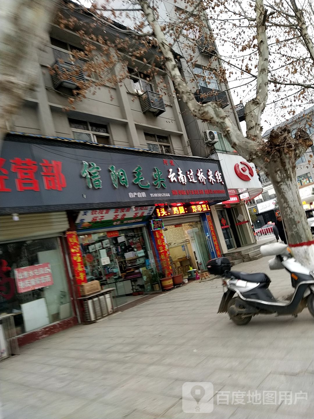 信阳毛尖(行政路店)