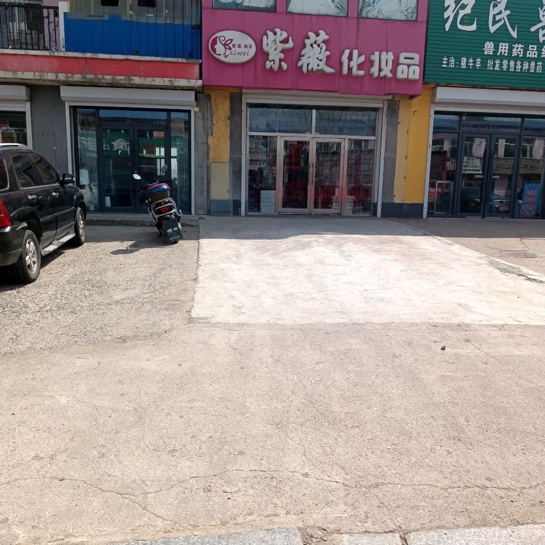 紫薇美妆(梨树东河店)