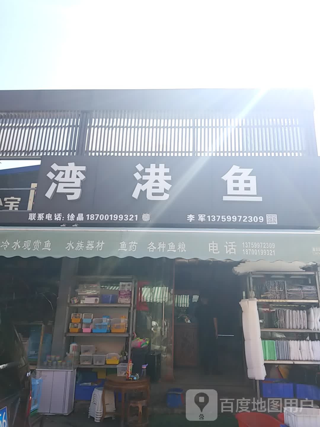 湾港鱼