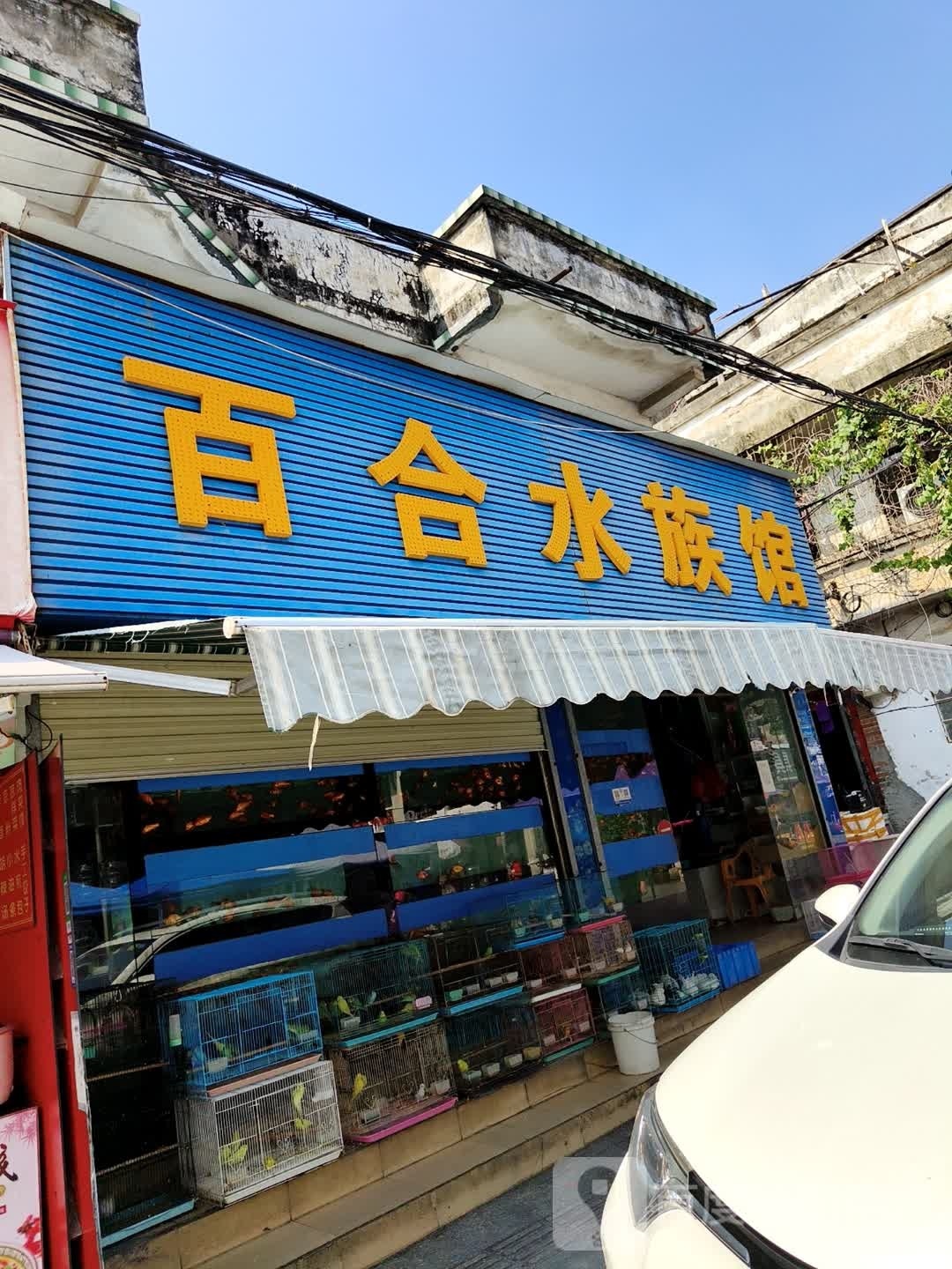 百合水族馆(环城路店)