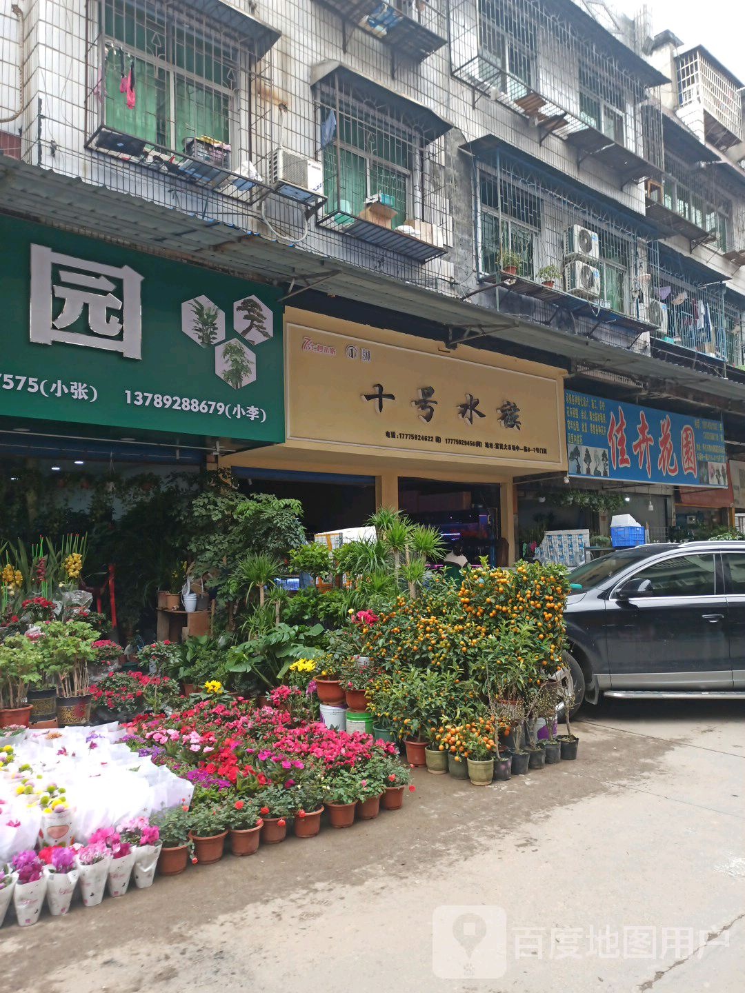 佳卉花园