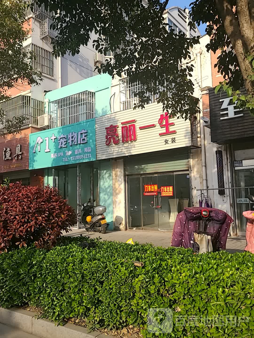 1+宠物店