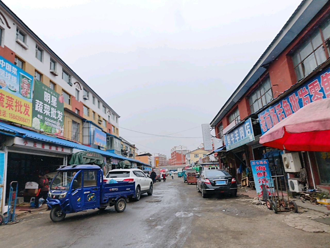 老市场活鱼批发零售