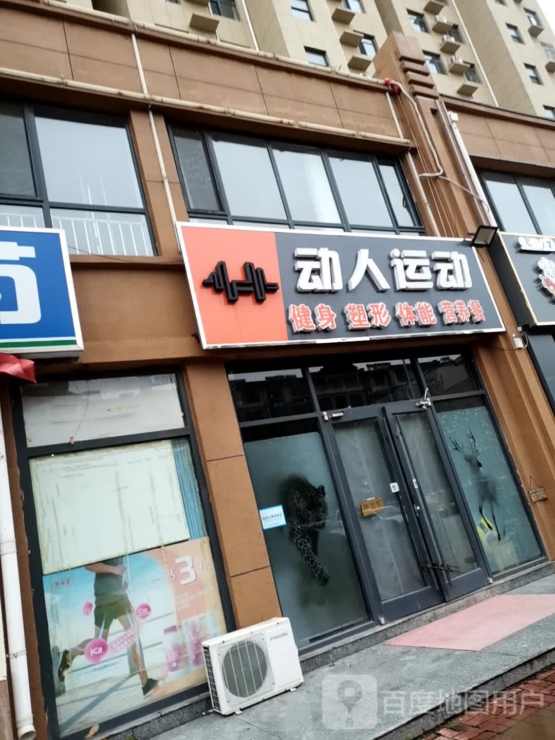 动人运动