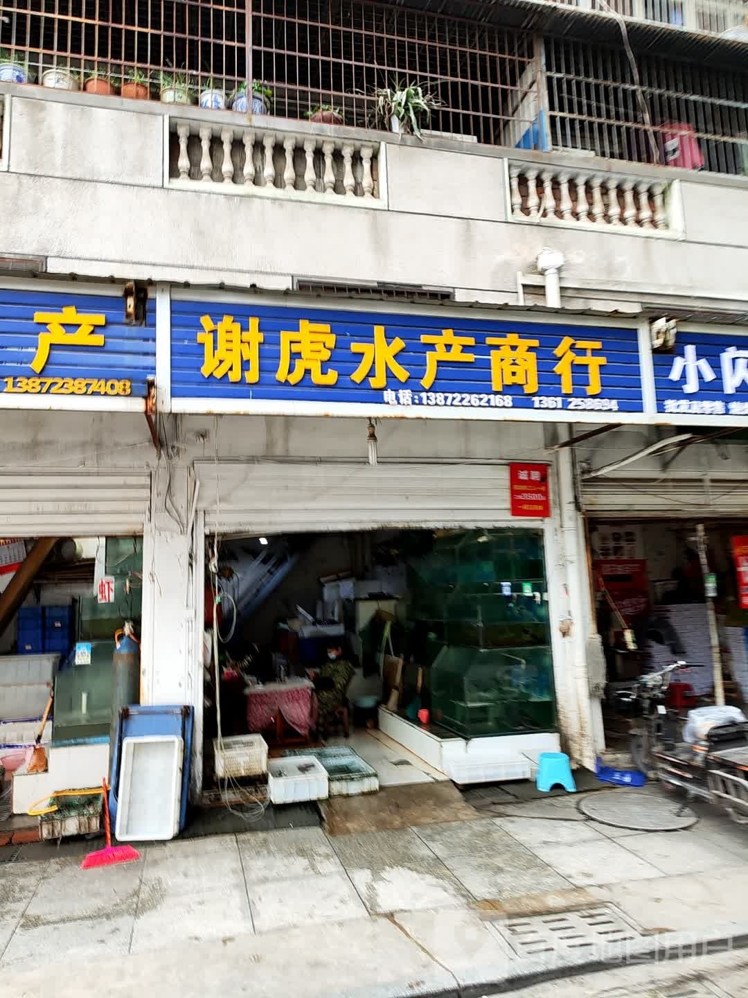 戆谢虎角葶水产商行