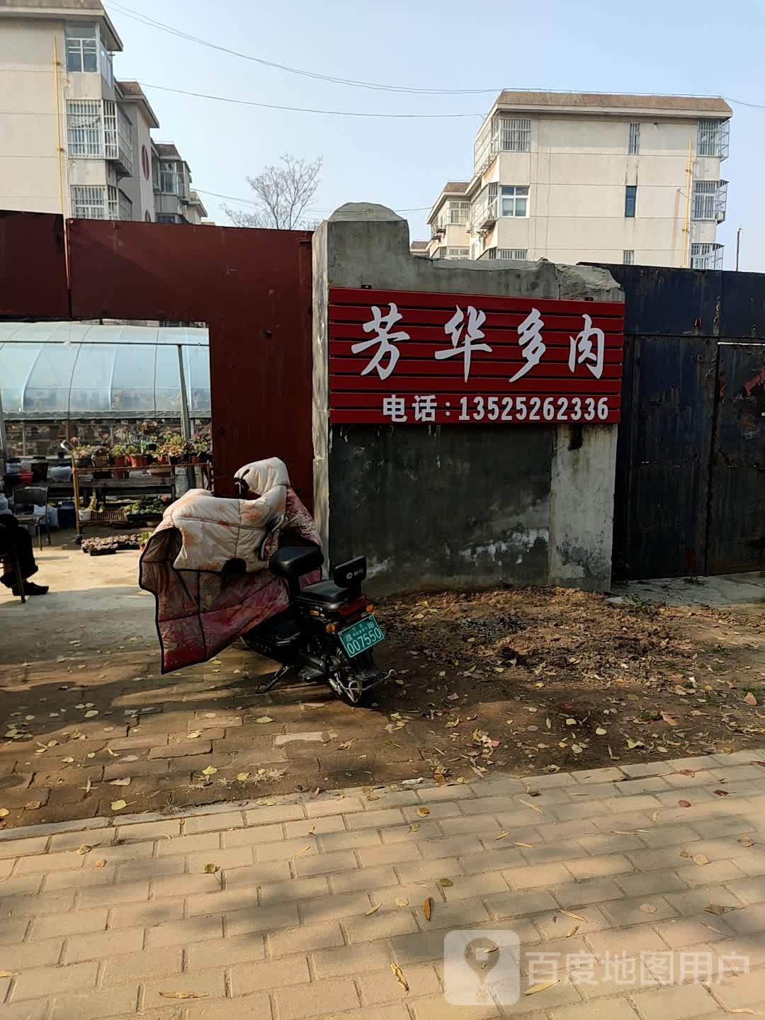 芳华多肉