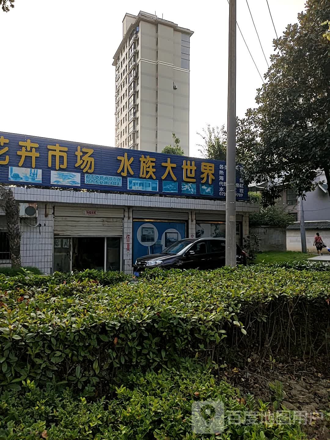赞洋花卉市场水族大世界
