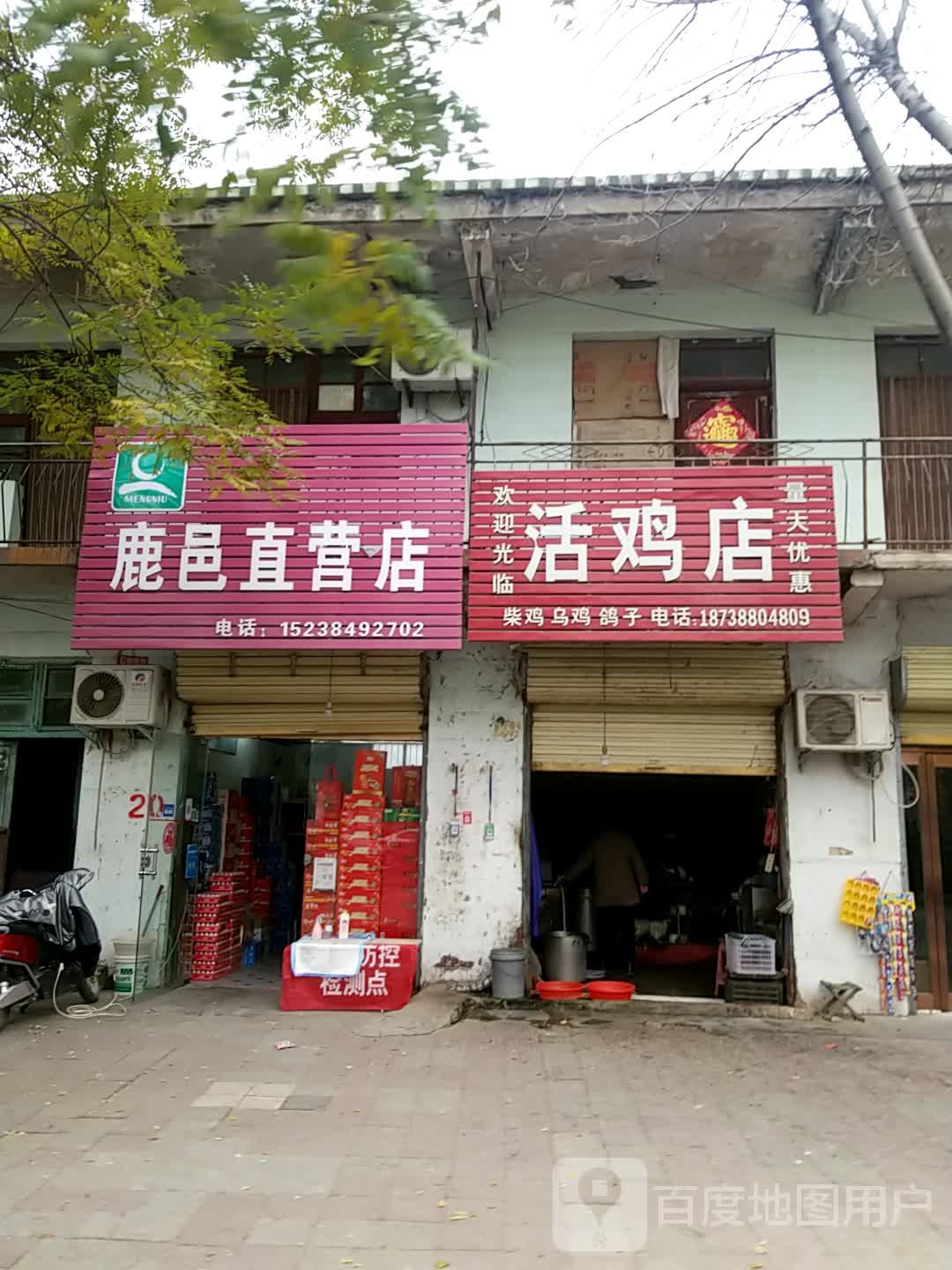 鹿邑县活鸡店