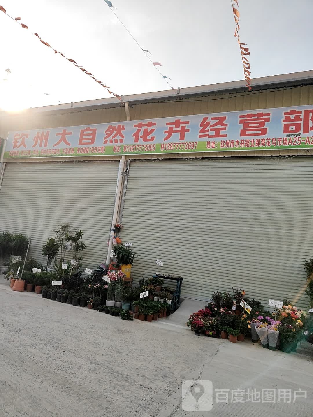 钦州大自然花卉经营部