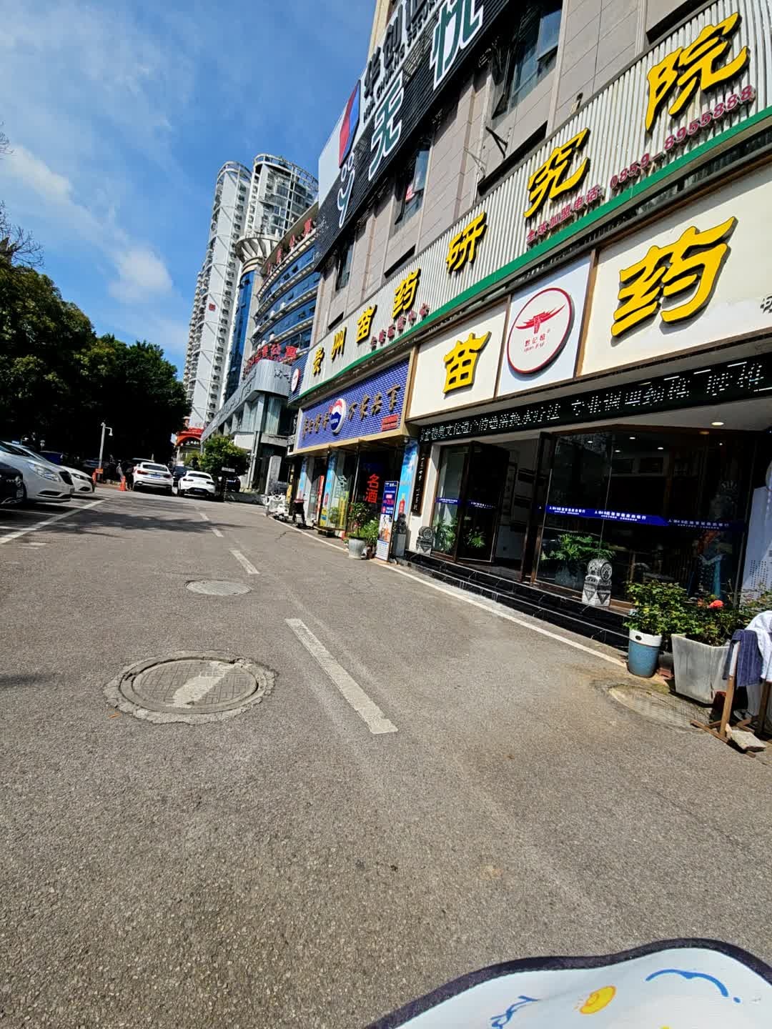 贵州苗药研究院