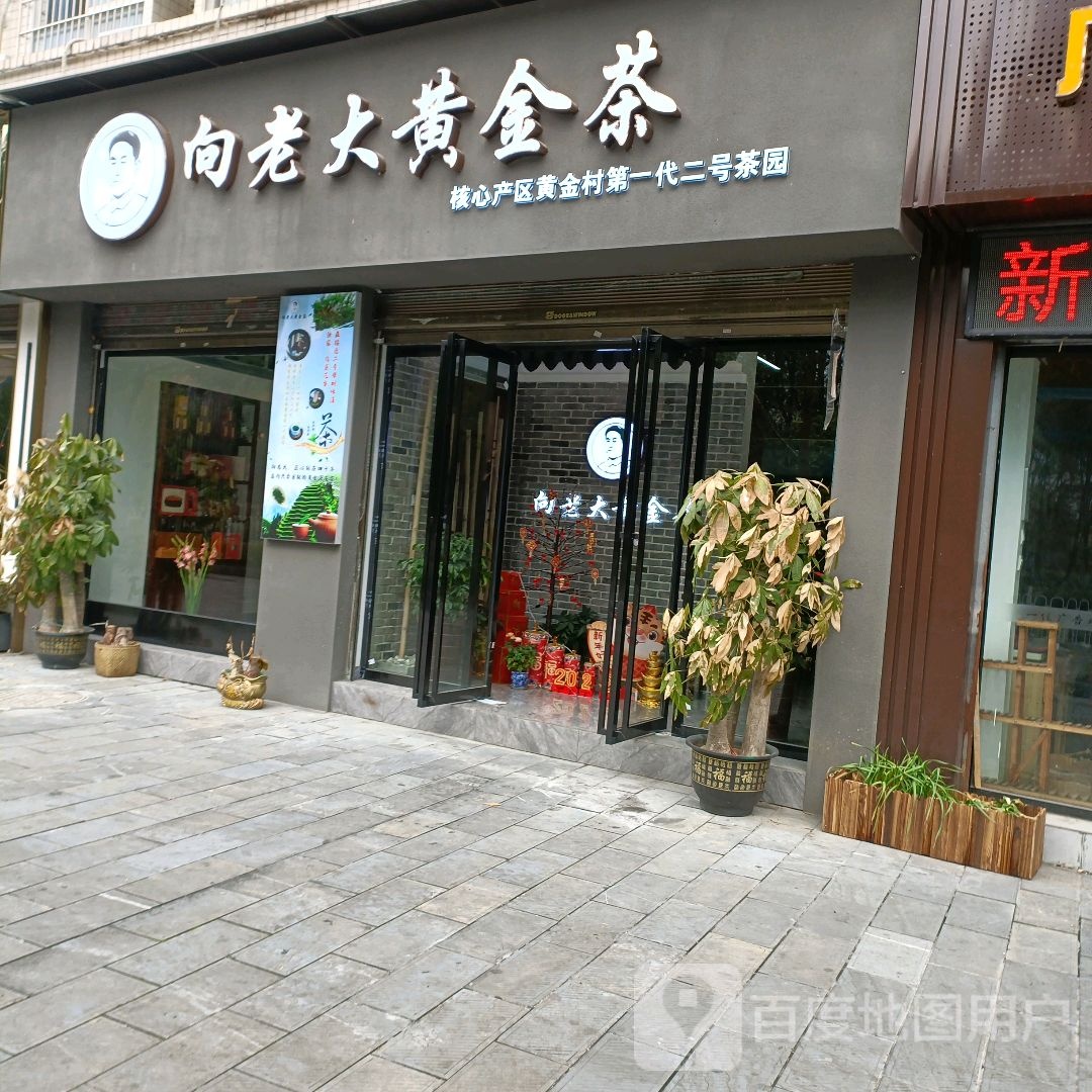 向老大黄金茶