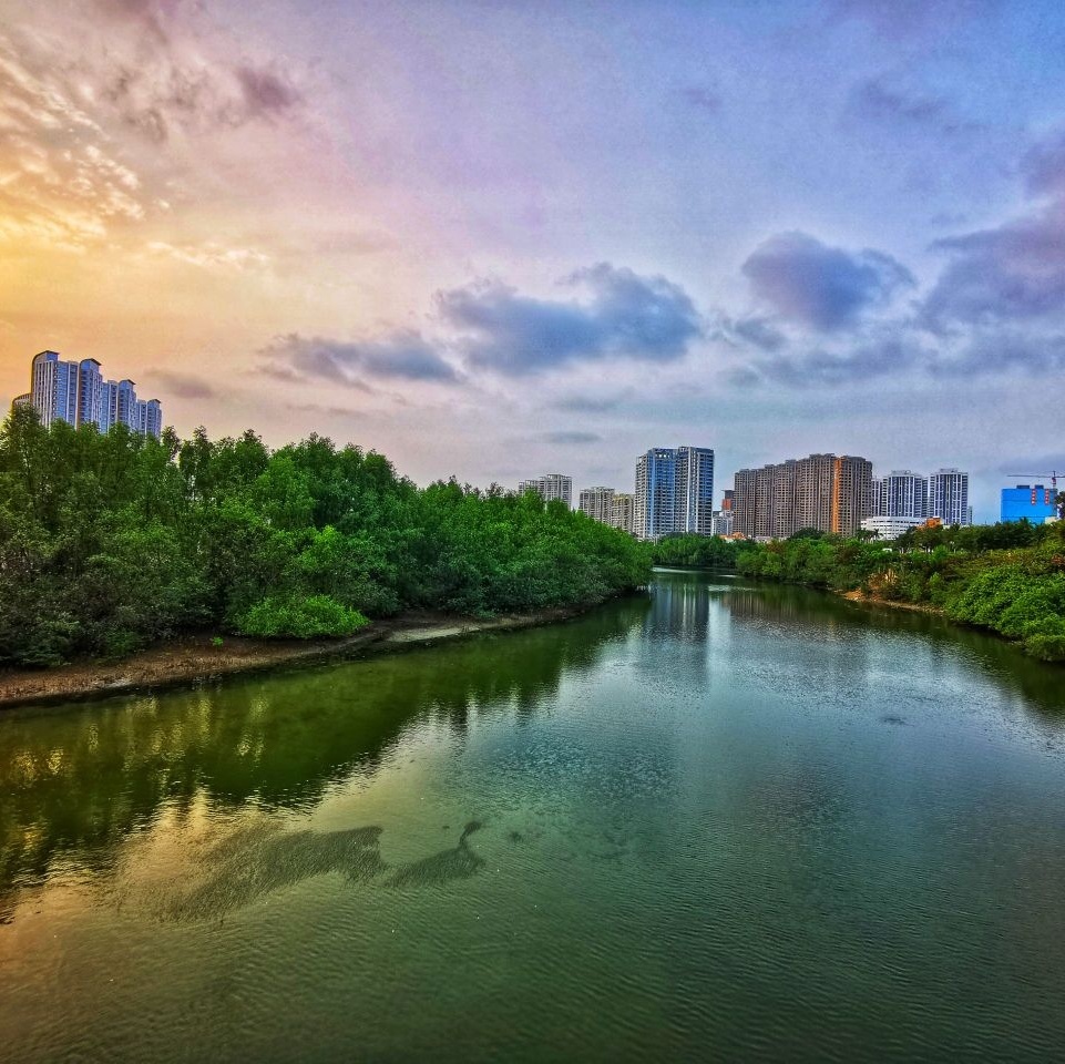 金鸡岭桥头公园