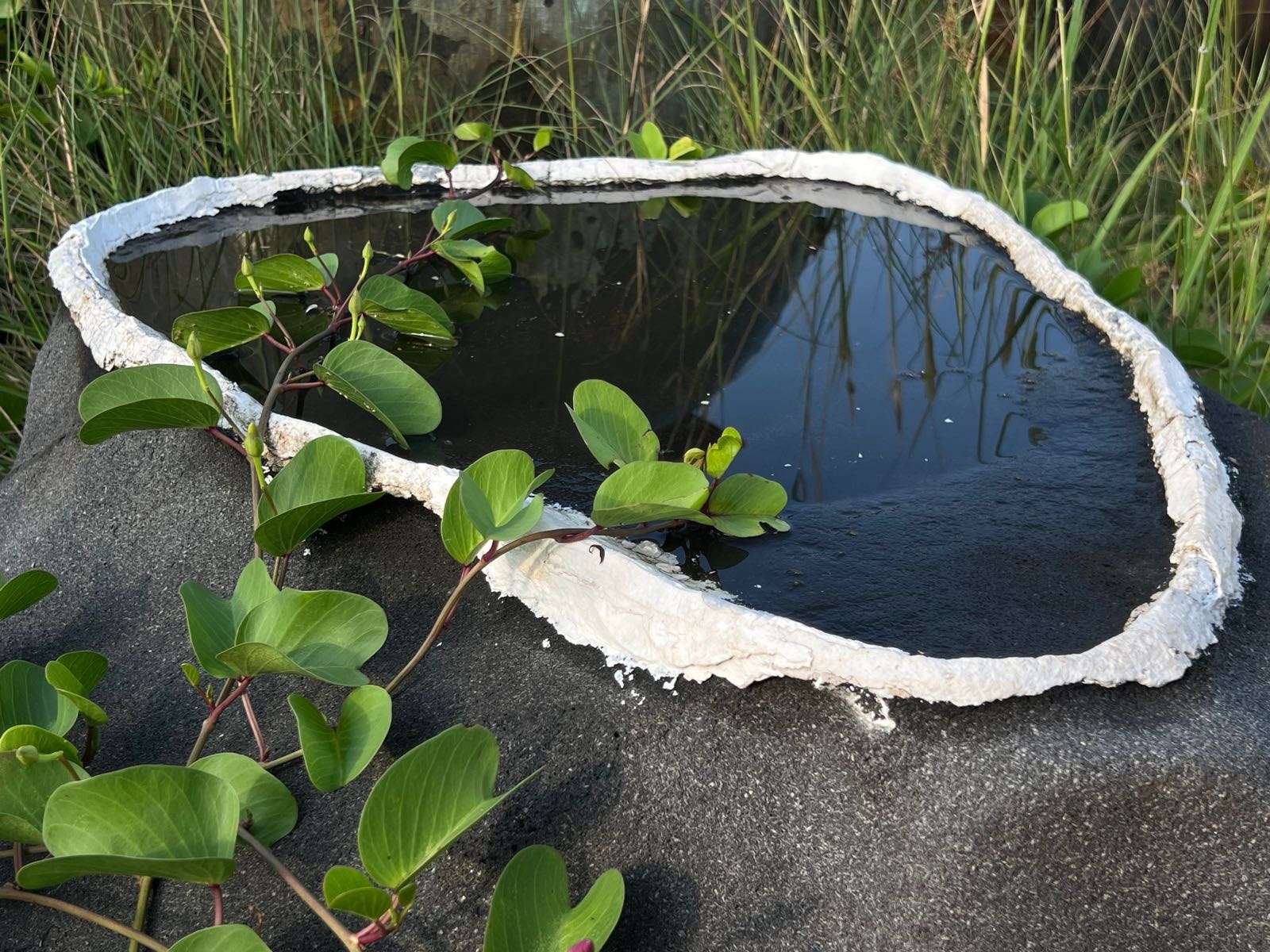 儋州千年古盐田