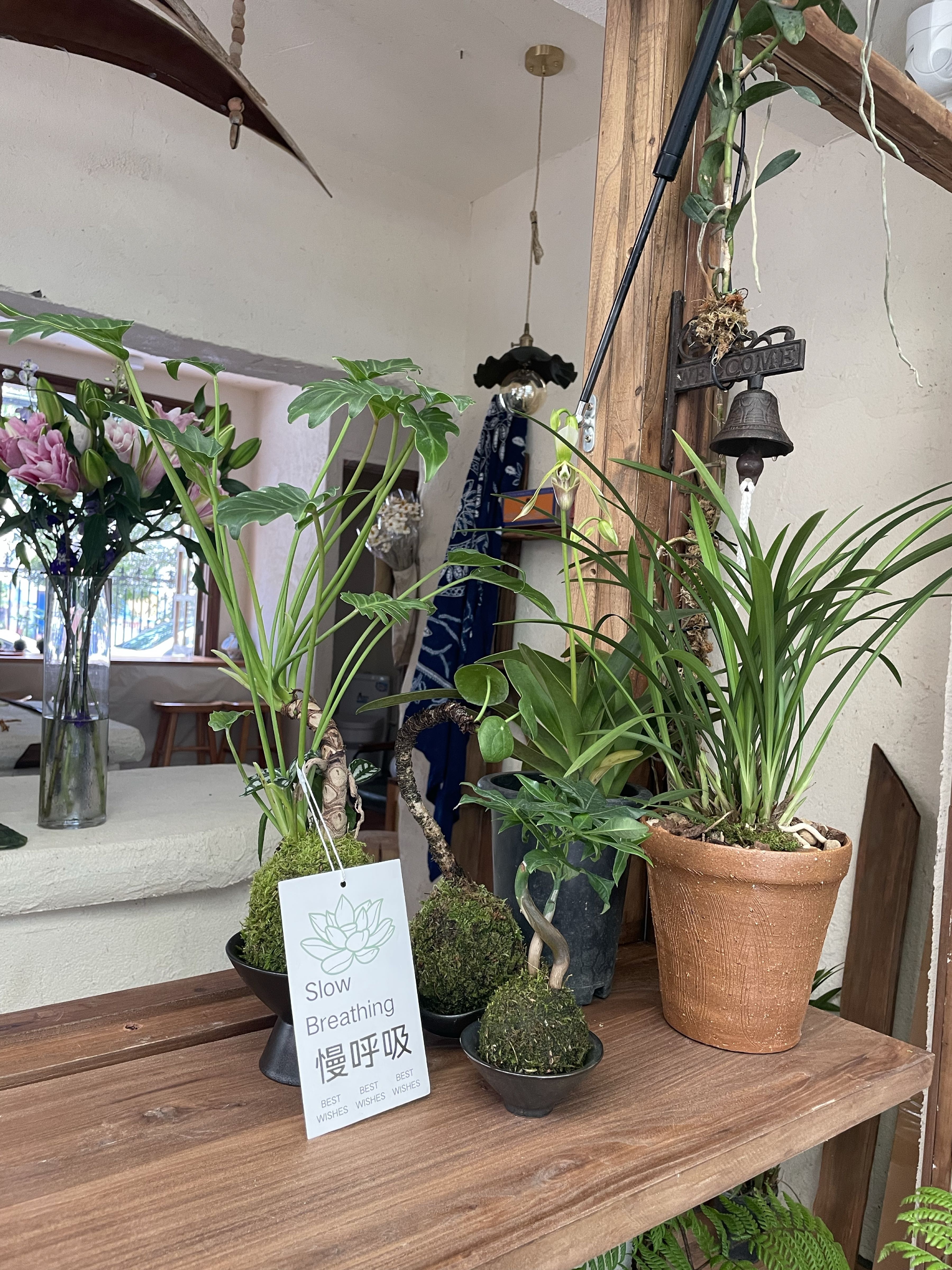 3土咖啡绿植鲜花