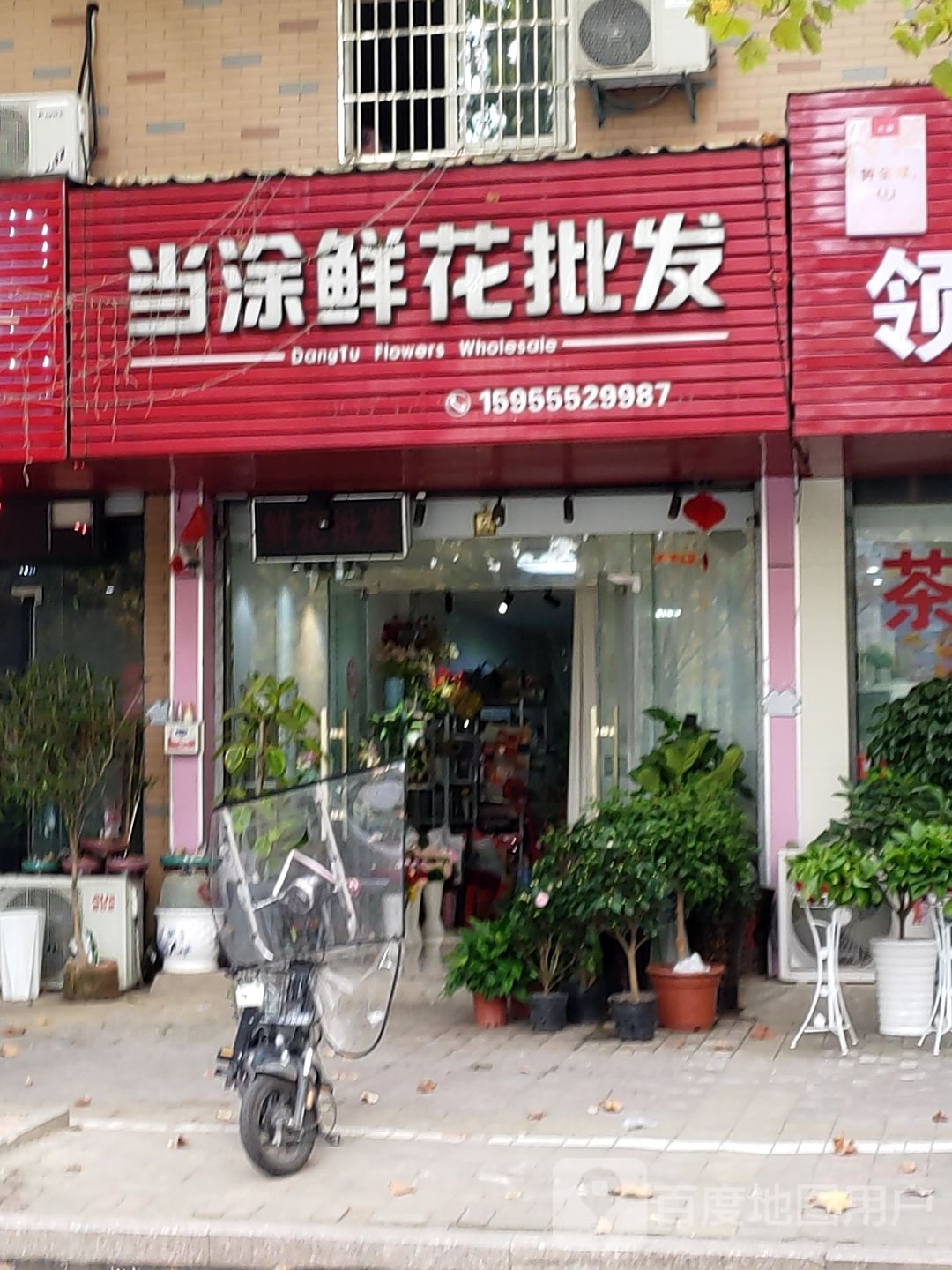 当涂鲜花批发