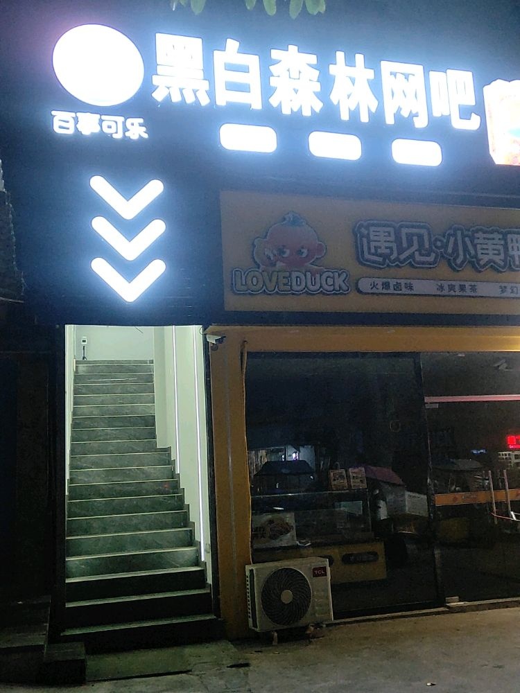 黑白森林网吧