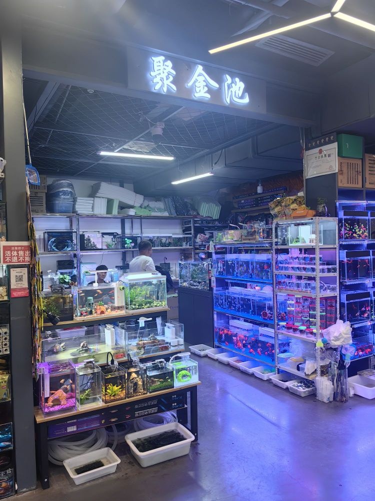 聚金池
