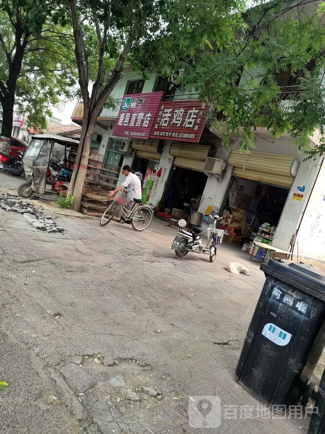 鹿邑县活鸡店