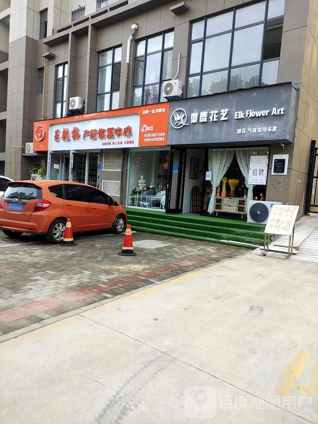 麋鹿花艺