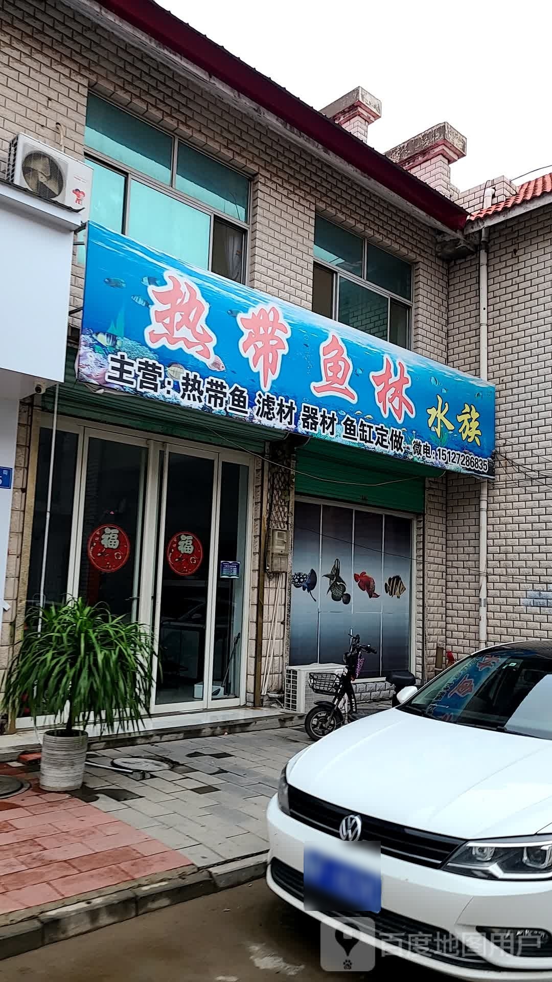 热带鱼林水族
