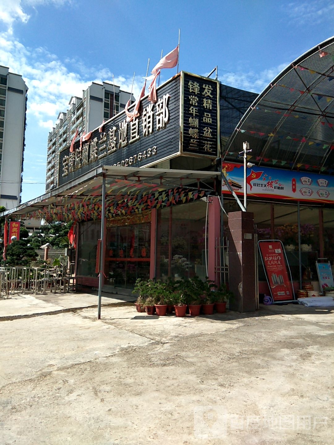 宝镜院旁蝴兰基地直销部