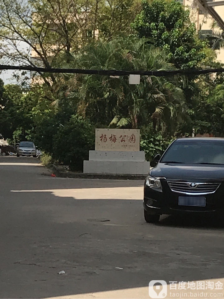 杨梅公园