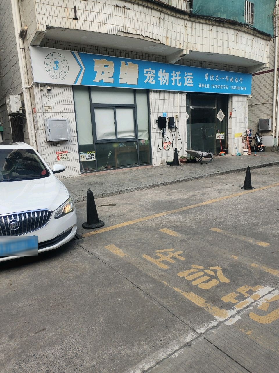 深圳宠缘宠物托运