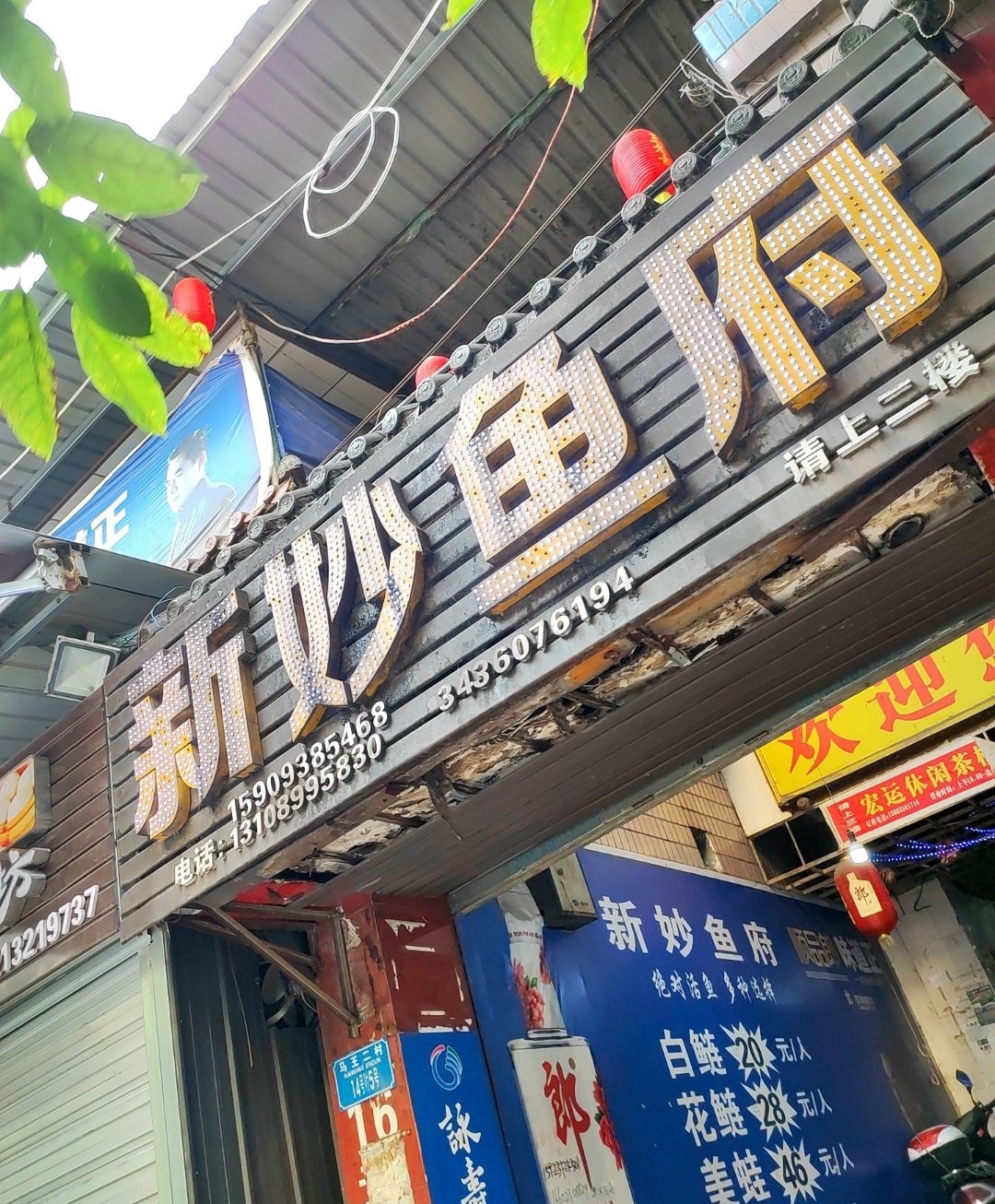 辛妙鱼府
