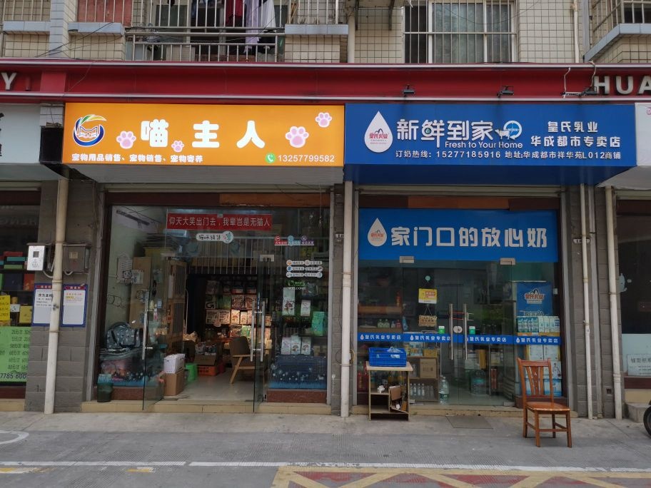 喵主人宠物店