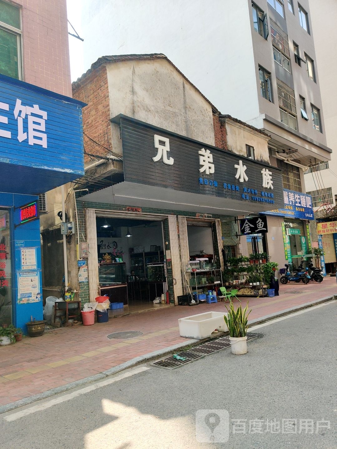 兄弟水族