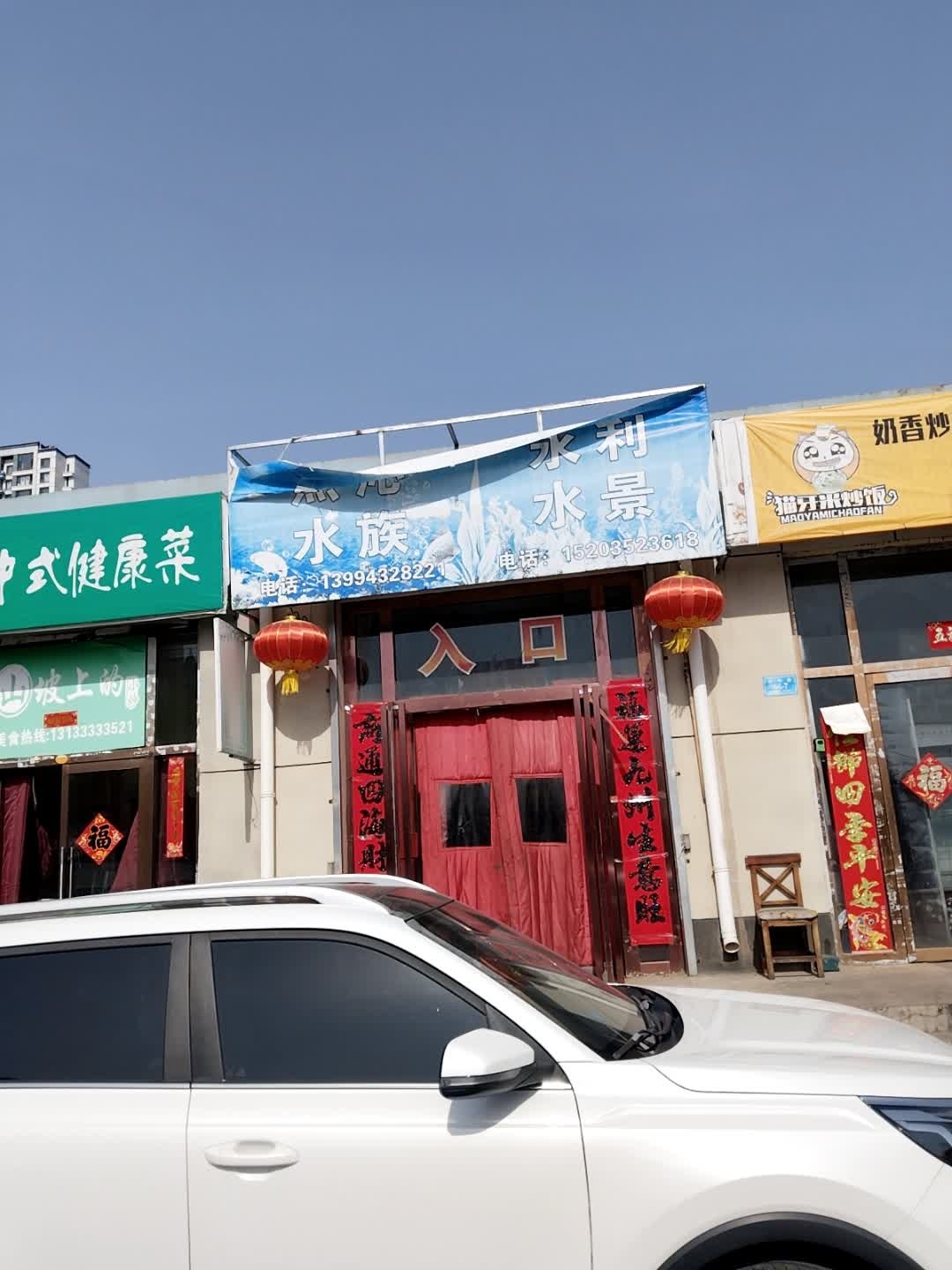 永利水景(草缸水陆缸)