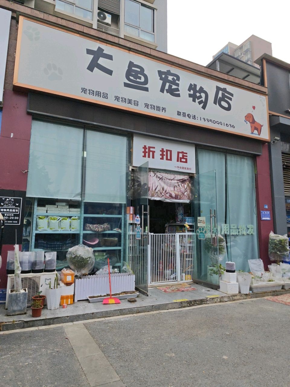 大鱼宠物店
