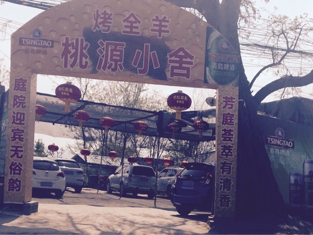 刘沙公路红艺村(桃缘人家隔壁)