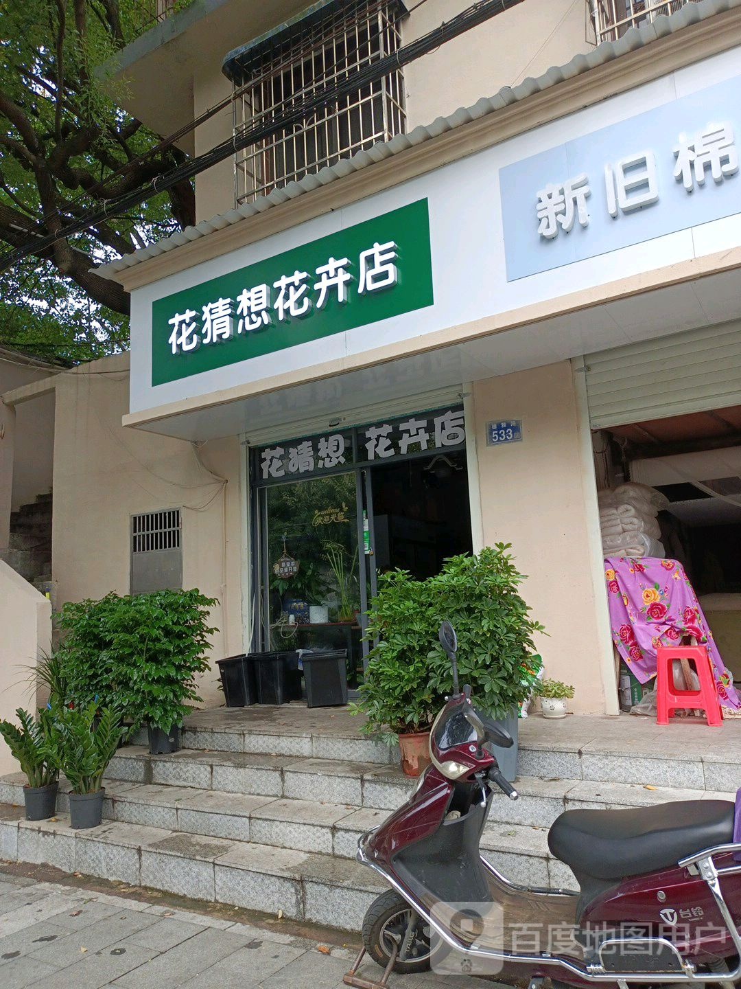 花猜想花卉店